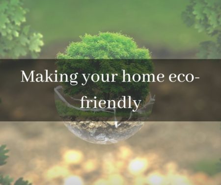 Eco friendly ways to improve your life, green conscious, environment, sustainable